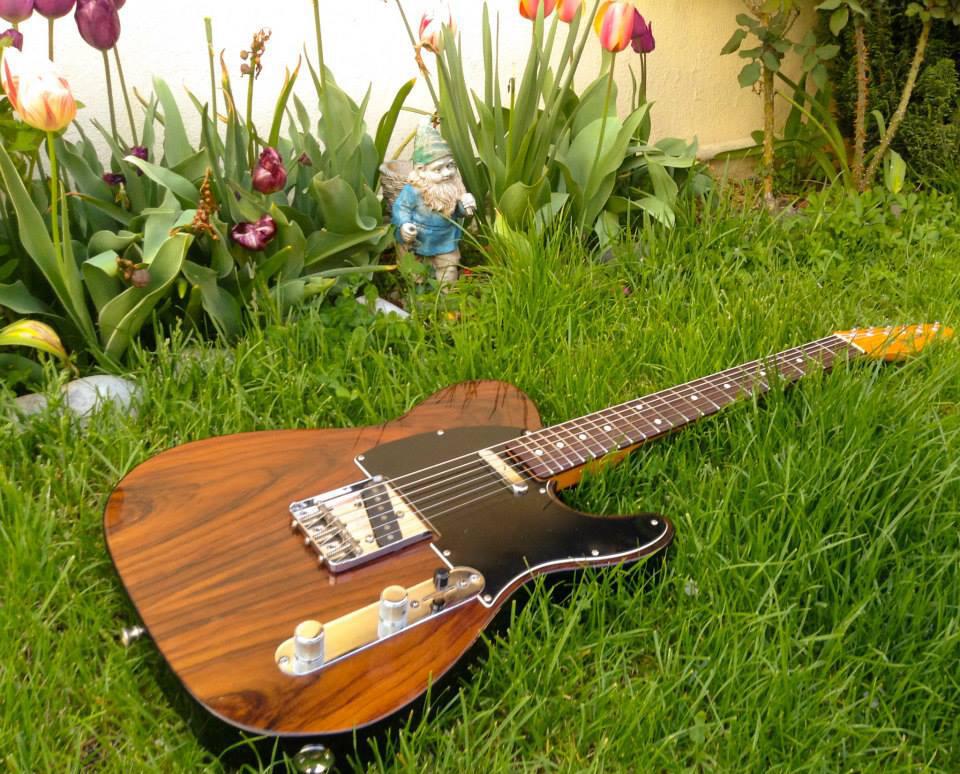 You are currently viewing Fender Rosewood Tele repair