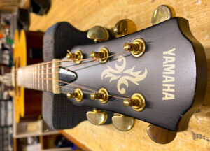 Read more about the article YAMAHA Bridge Repair